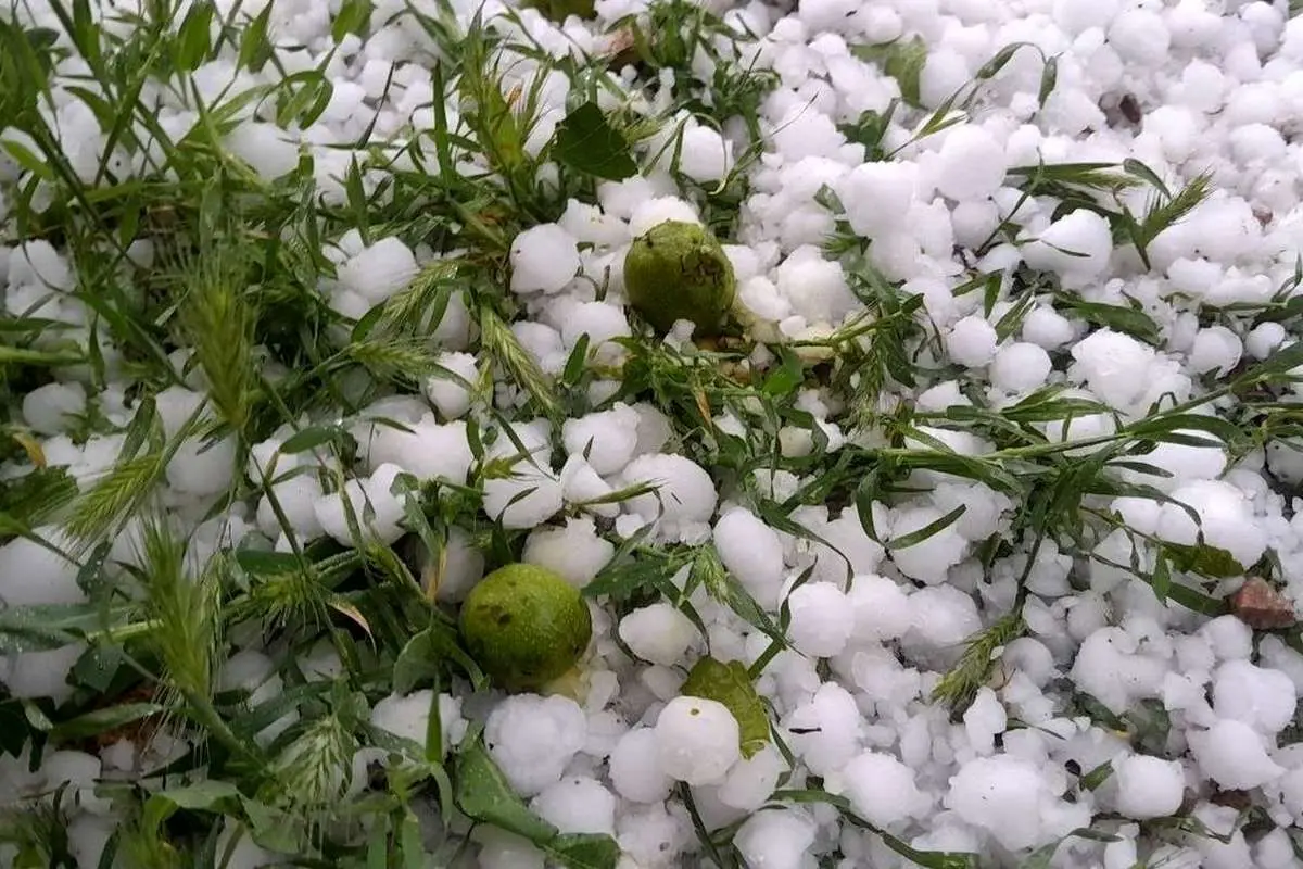 (ویدئو) بارش تگرگ در روستای «گَتی» لیردفِ جاسک
