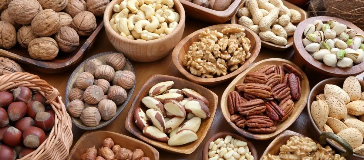 این مغز‌ها را بخورید تا لاغر شوید