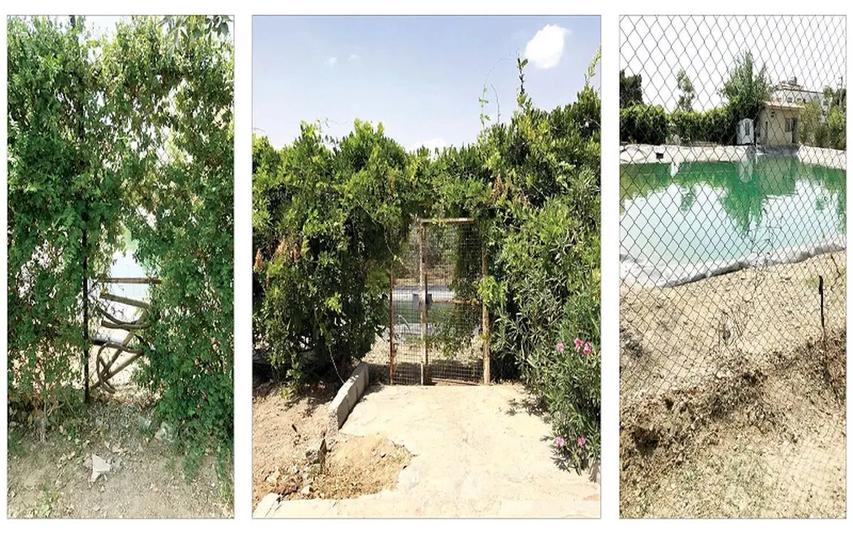 پرونده کودکان غرق شده در بوستان زیتون به کجا رسید؟