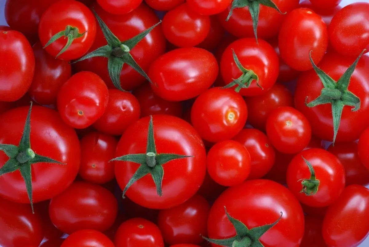 ۸ سبزی مفید برای کنترل دیابت نوع دو