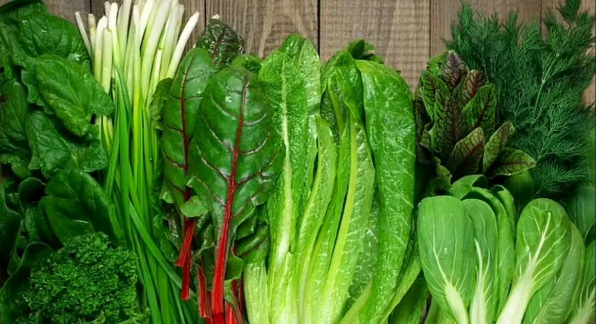 کاهش روند پیری مغز با مصرف این ماده غذایی!