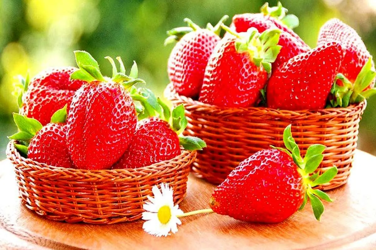 پیشگیری از زوال عقل با این میوه خوشمزه
