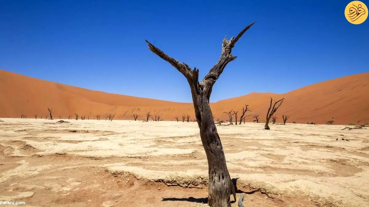 (تصاویر) سفر به قدیمی‌ترین صحرای جهان