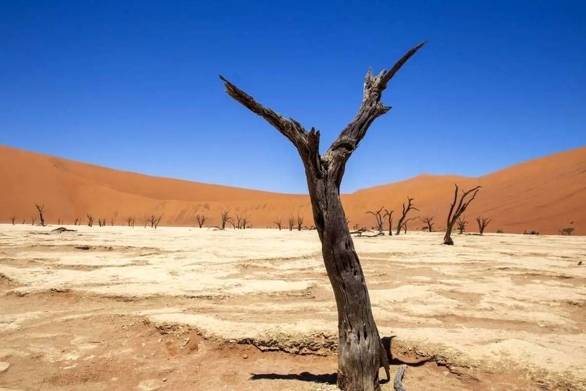 (تصاویر) سفر به قدیمی‌ترین صحرای جهان