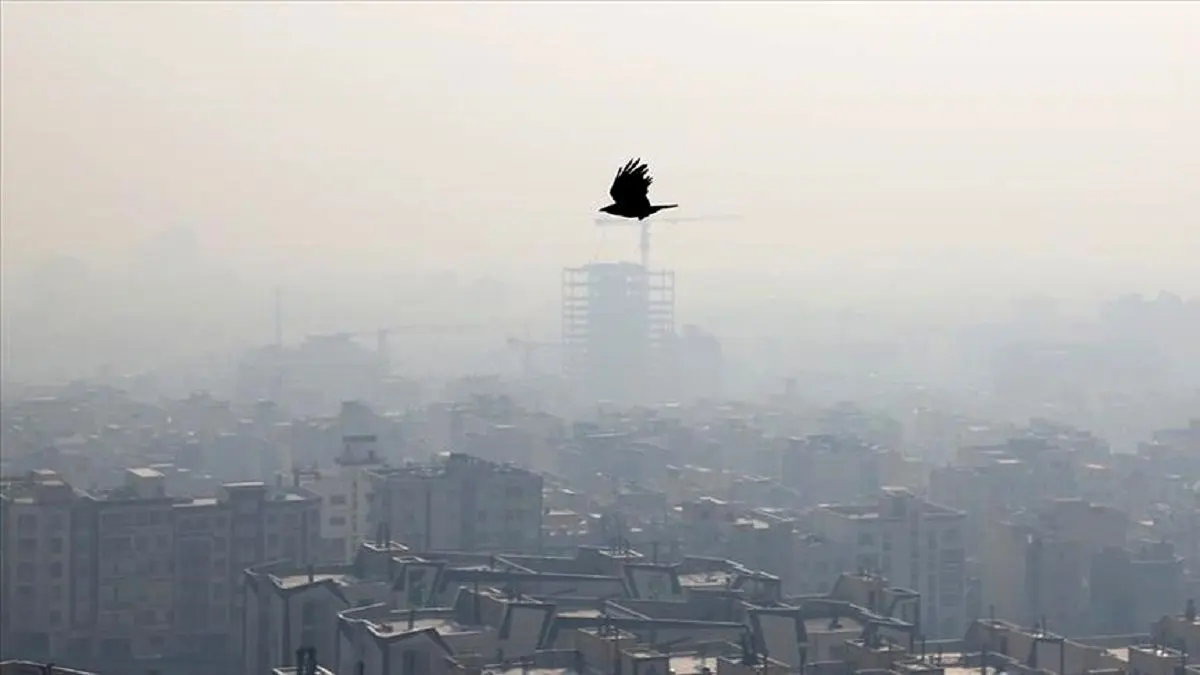 مجازی شدن مدارس مشهد در نوبت عصر