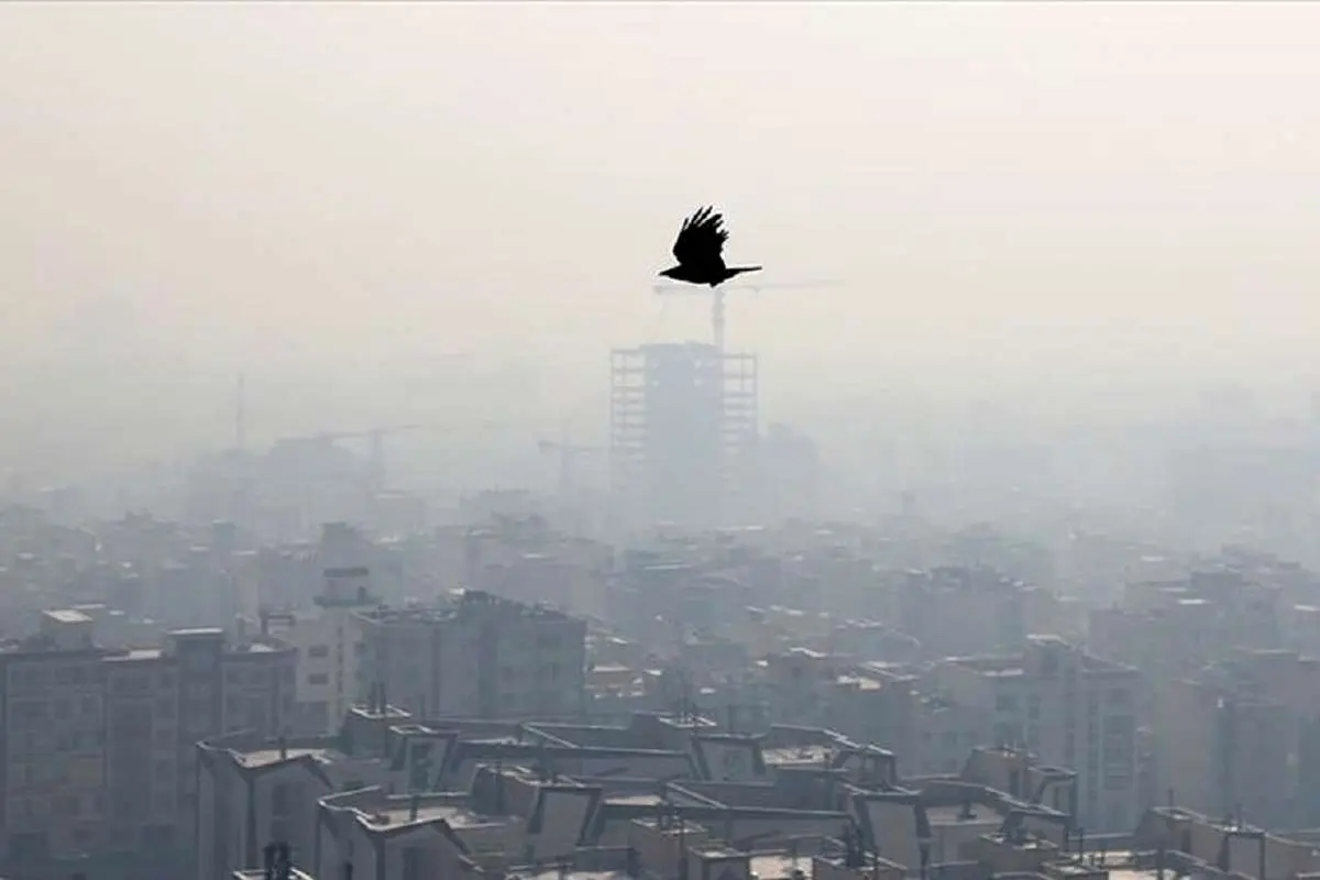 مجازی شدن مدارس مشهد در نوبت عصر
