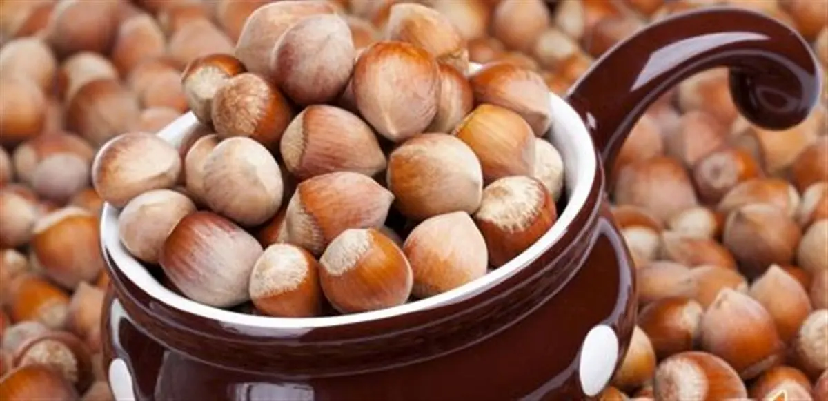 به جای تخم مرغ فندق بخورید