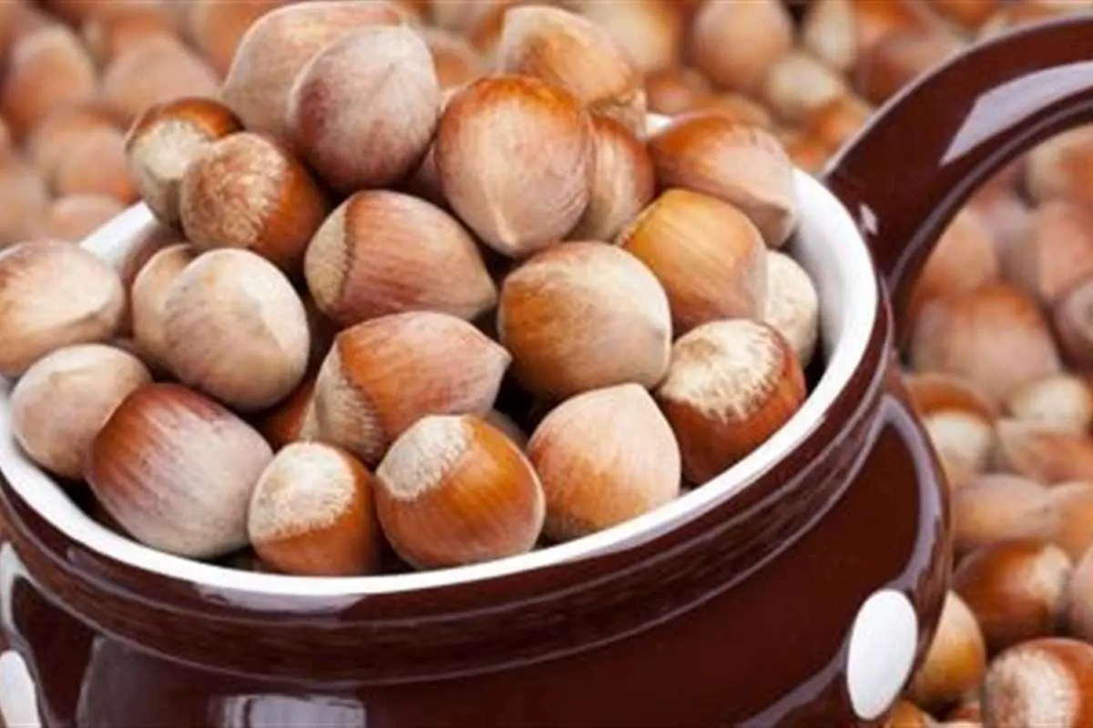 به جای تخم مرغ فندق بخورید