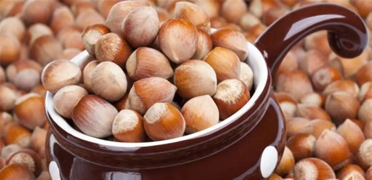 به جای تخم مرغ فندق بخورید
