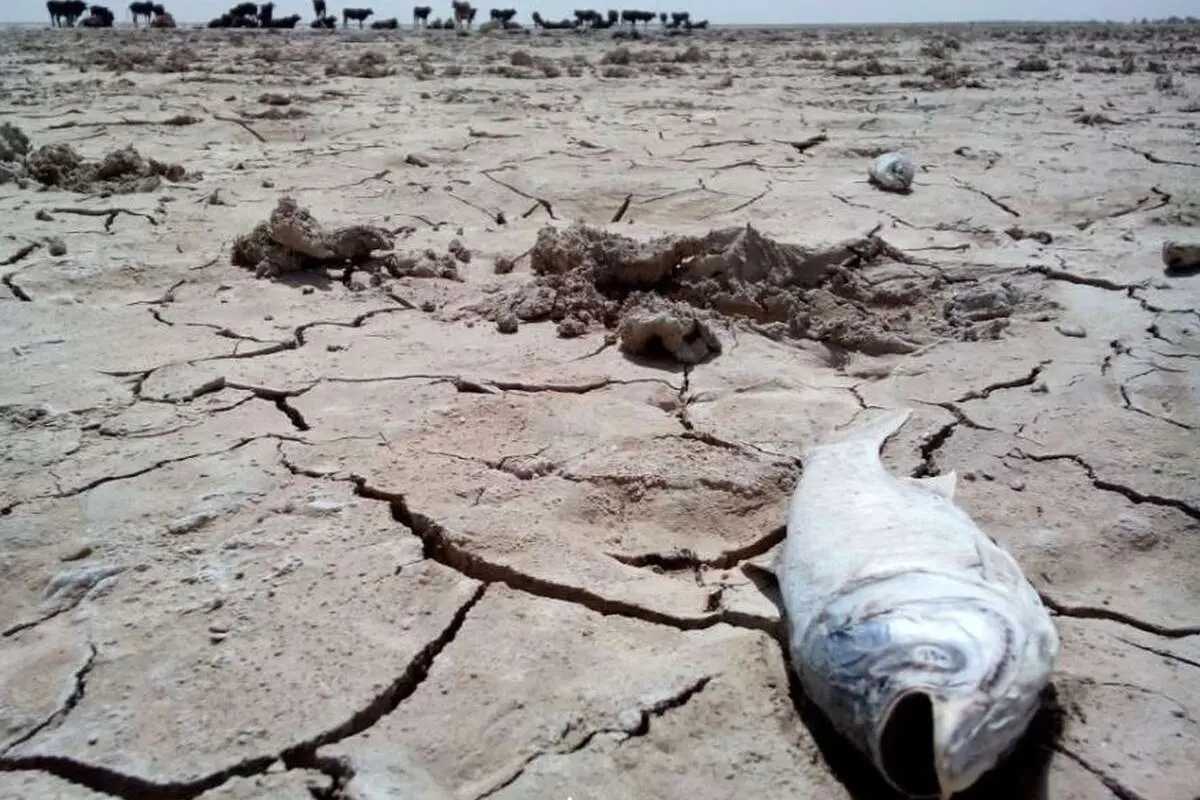 شکست سیاستهای آبی/آینده چطور خواهد بود؟
