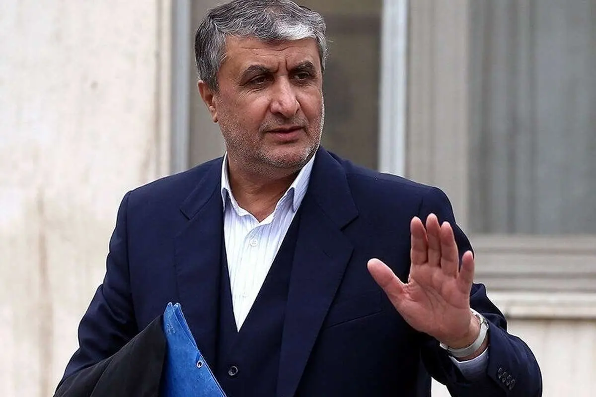 توضیحات سازمان انرژی اتمی درباره ورود ۱۲۰ بازرس آژانس به ایران!