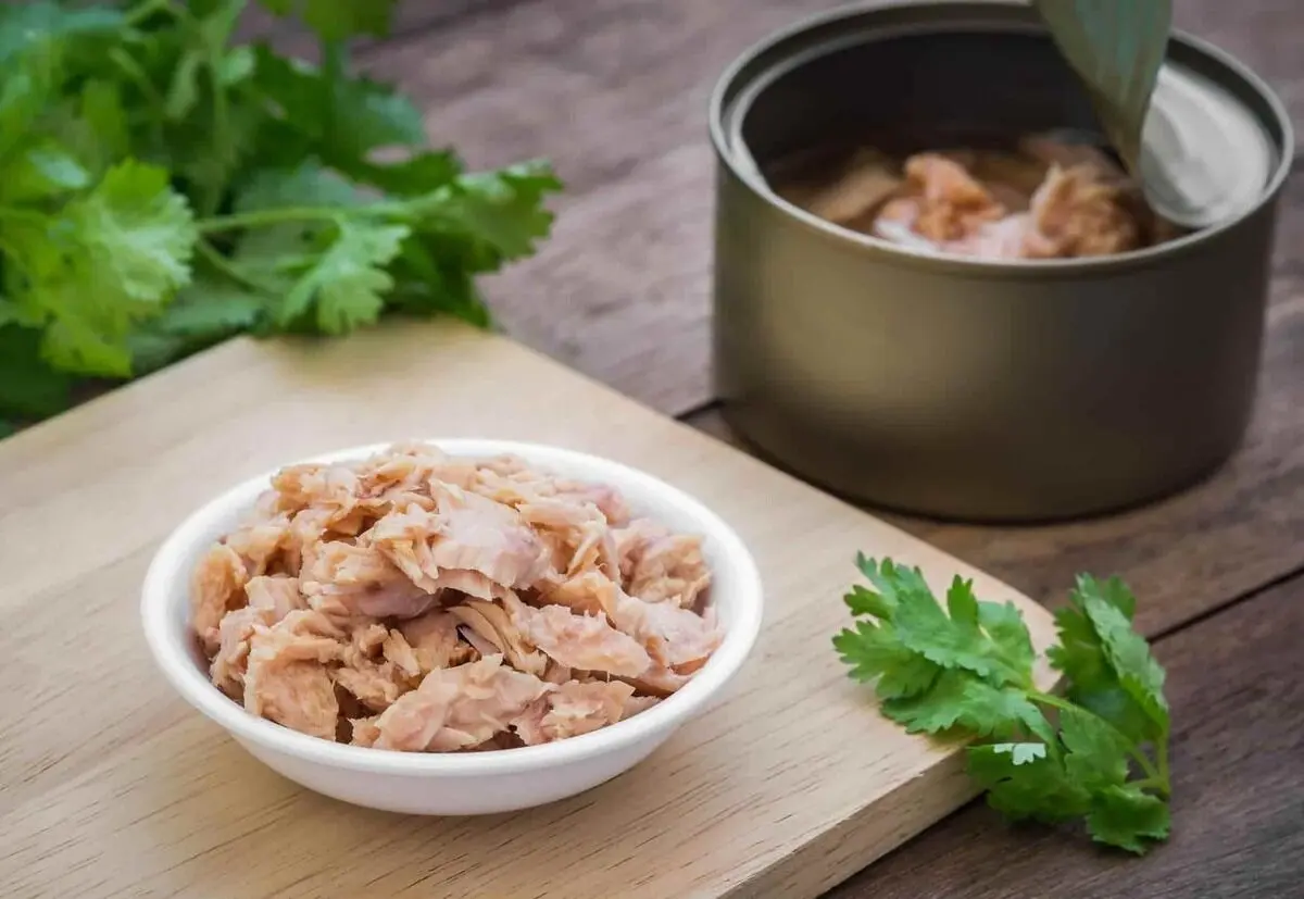 از خواص و مضرات تن ماهی بیشتر بدانید