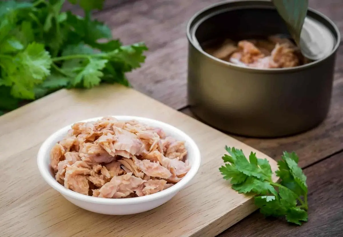 از خواص و مضرات تن ماهی بیشتر بدانید
