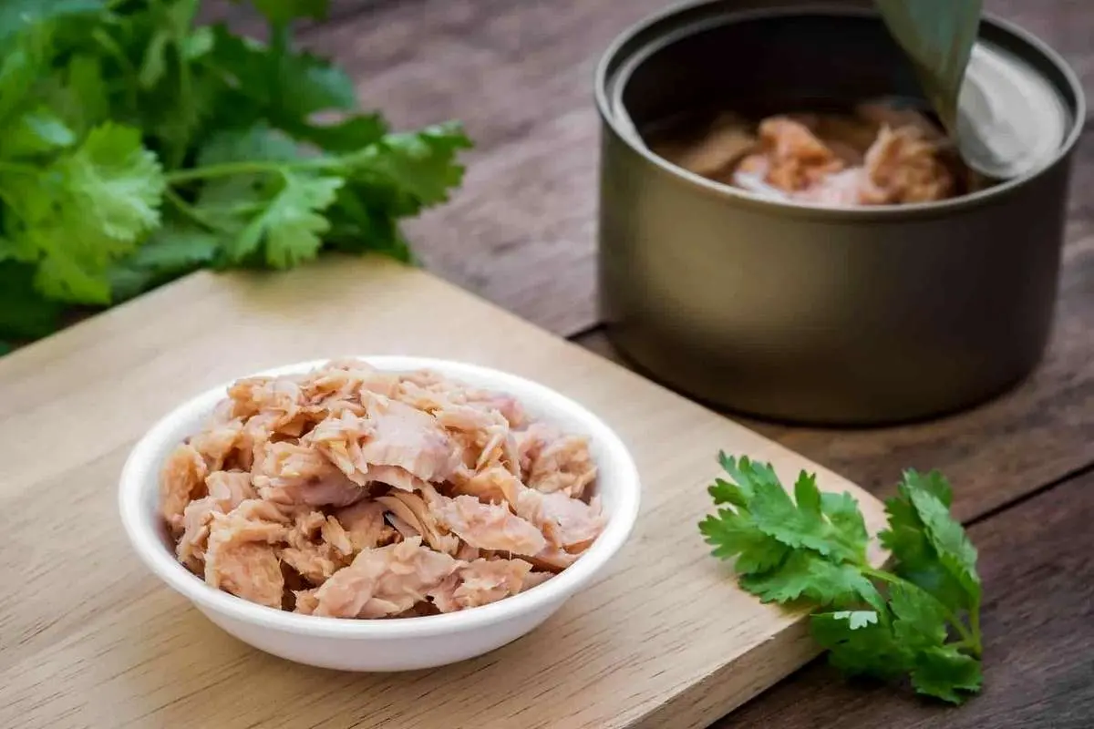 از خواص و مضرات تن ماهی بیشتر بدانید