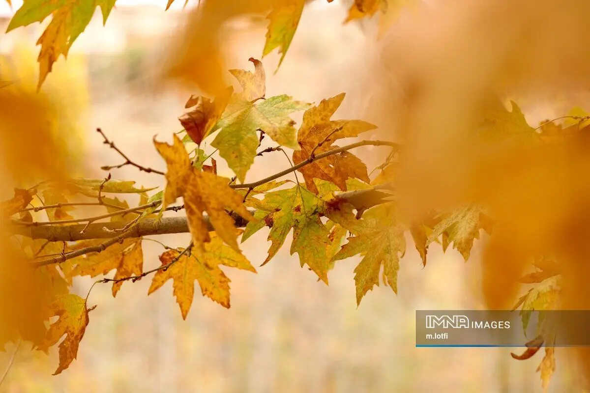 (تصاویر) کارت پستال‌های پاییزی در روستای مورکان اصفهان