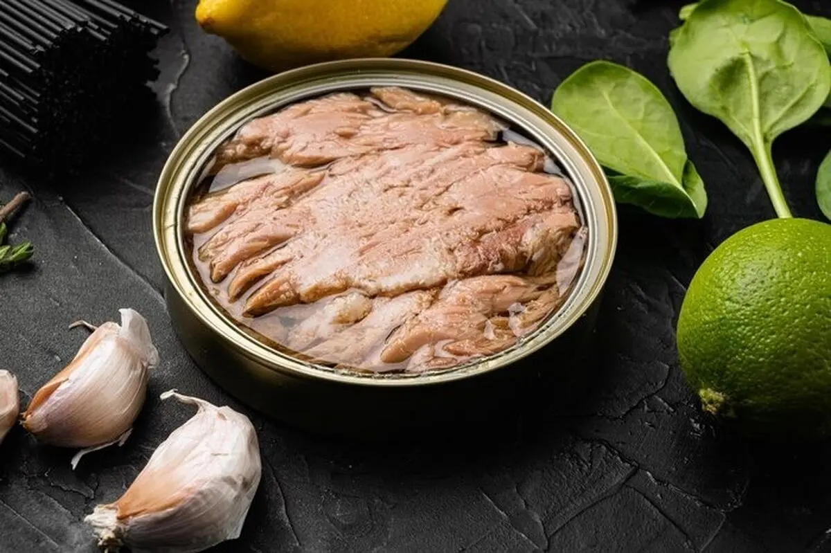 روش نگهداری باقیمانده تن ماهی، گوشت قرمز و مرغ