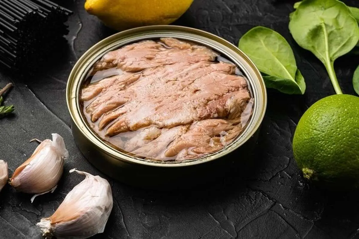 روش نگهداری باقیمانده تن ماهی، گوشت قرمز و مرغ