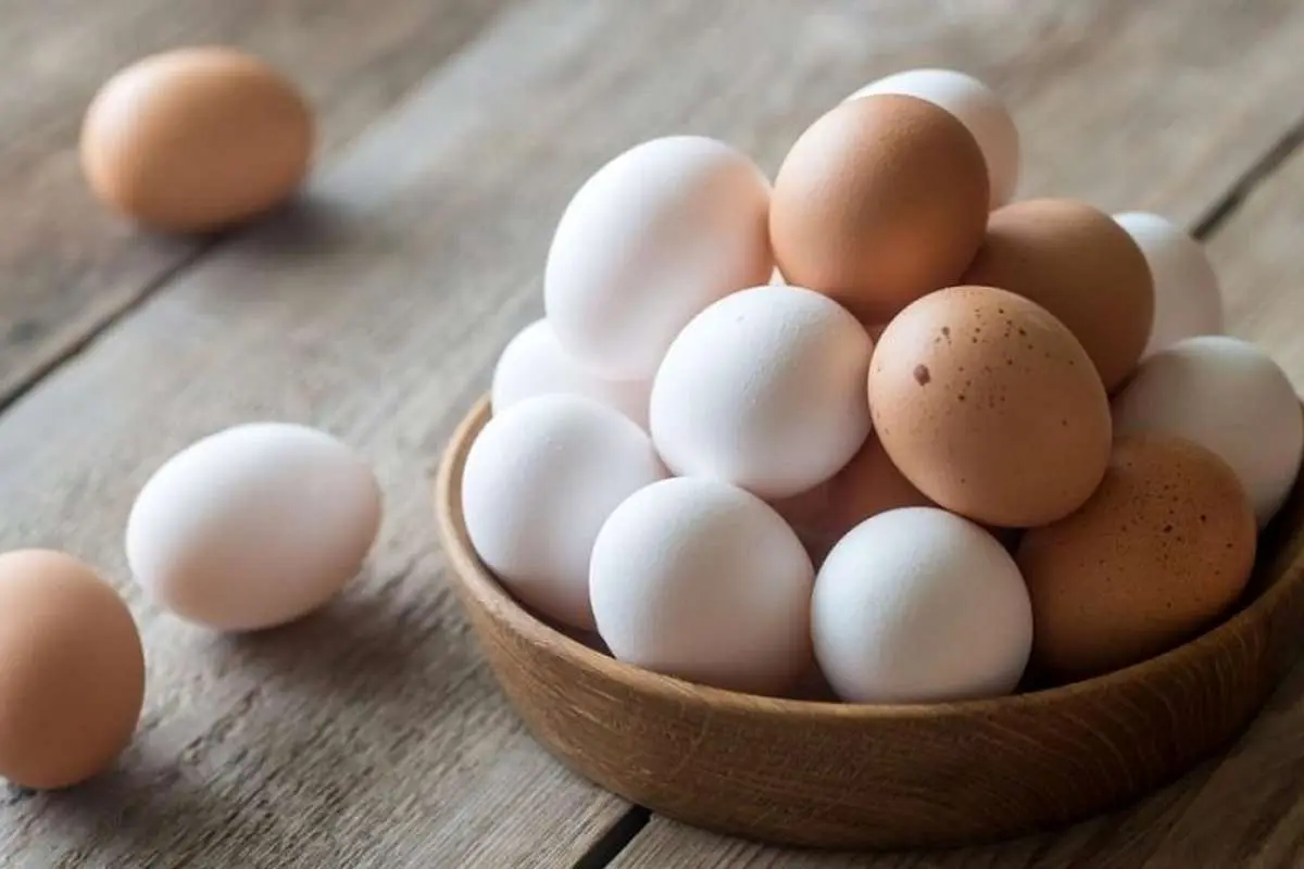 قیمت بسته تخم مرغ ۲۰ عددی چند؟