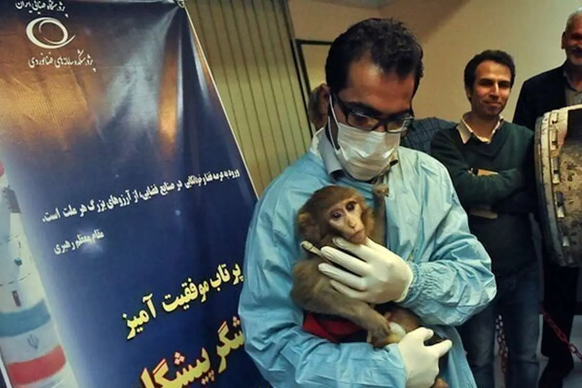میمون‌های فضانورد ایرانی، زاد و ولد هم کرده و همسر و فرزند دارند