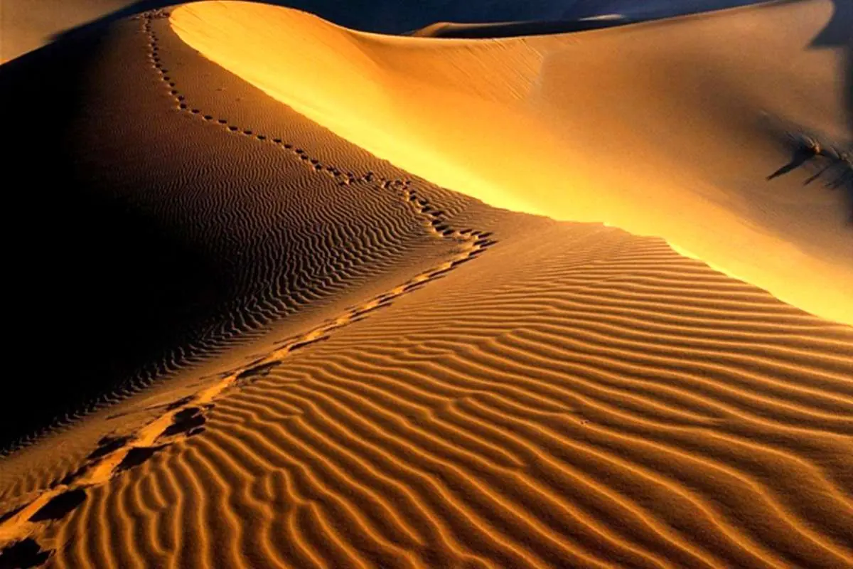 آشنایی با گرمترین نقطه کره زمین در کویر لوت