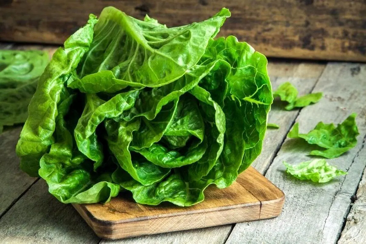 چگونه کاهو را در یخچال تازه نگه داریم؟