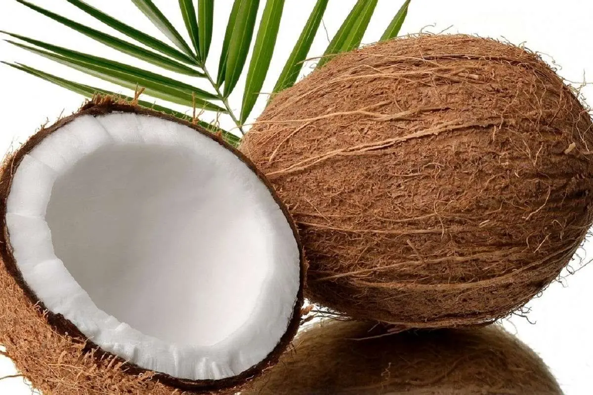 چرا باید نارگیل بخوریم؟