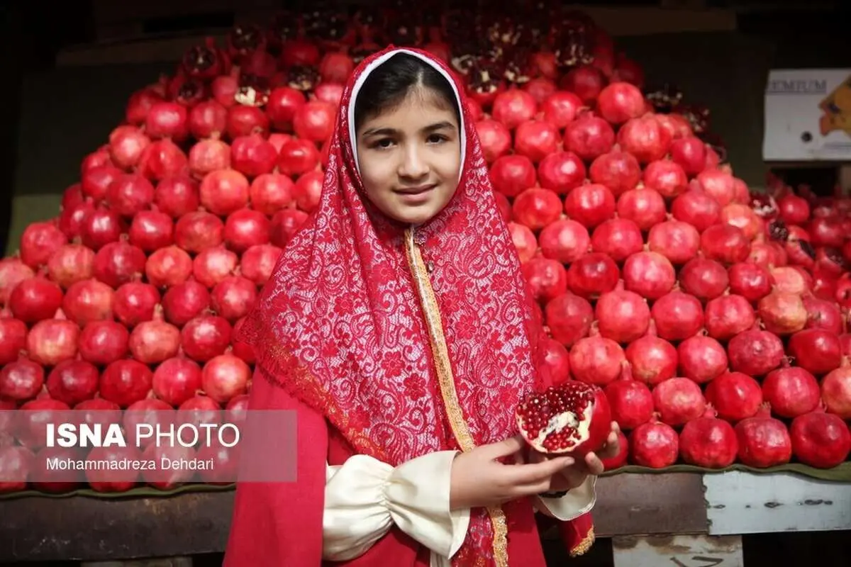 (تصاویر) جشنواره انار و خرمالو