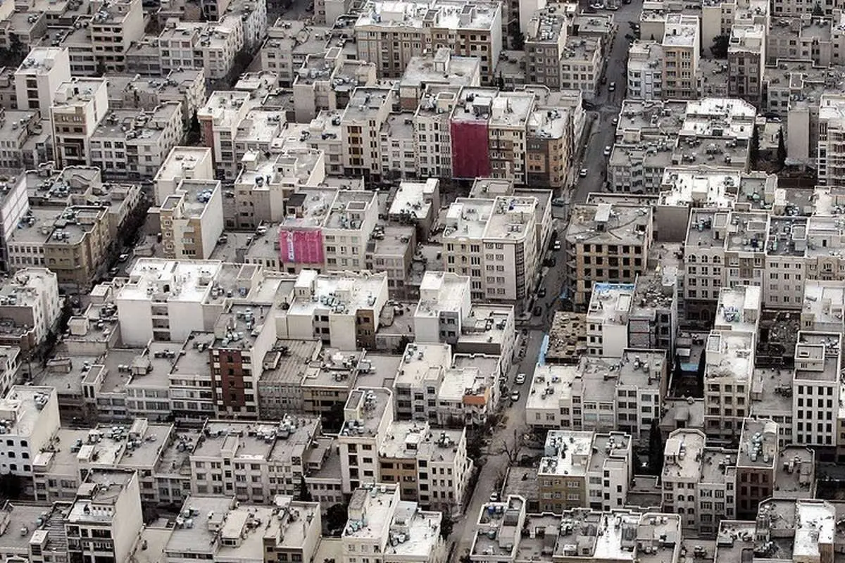 (ویدئو) افسار مسکن به دست دلار افتاد