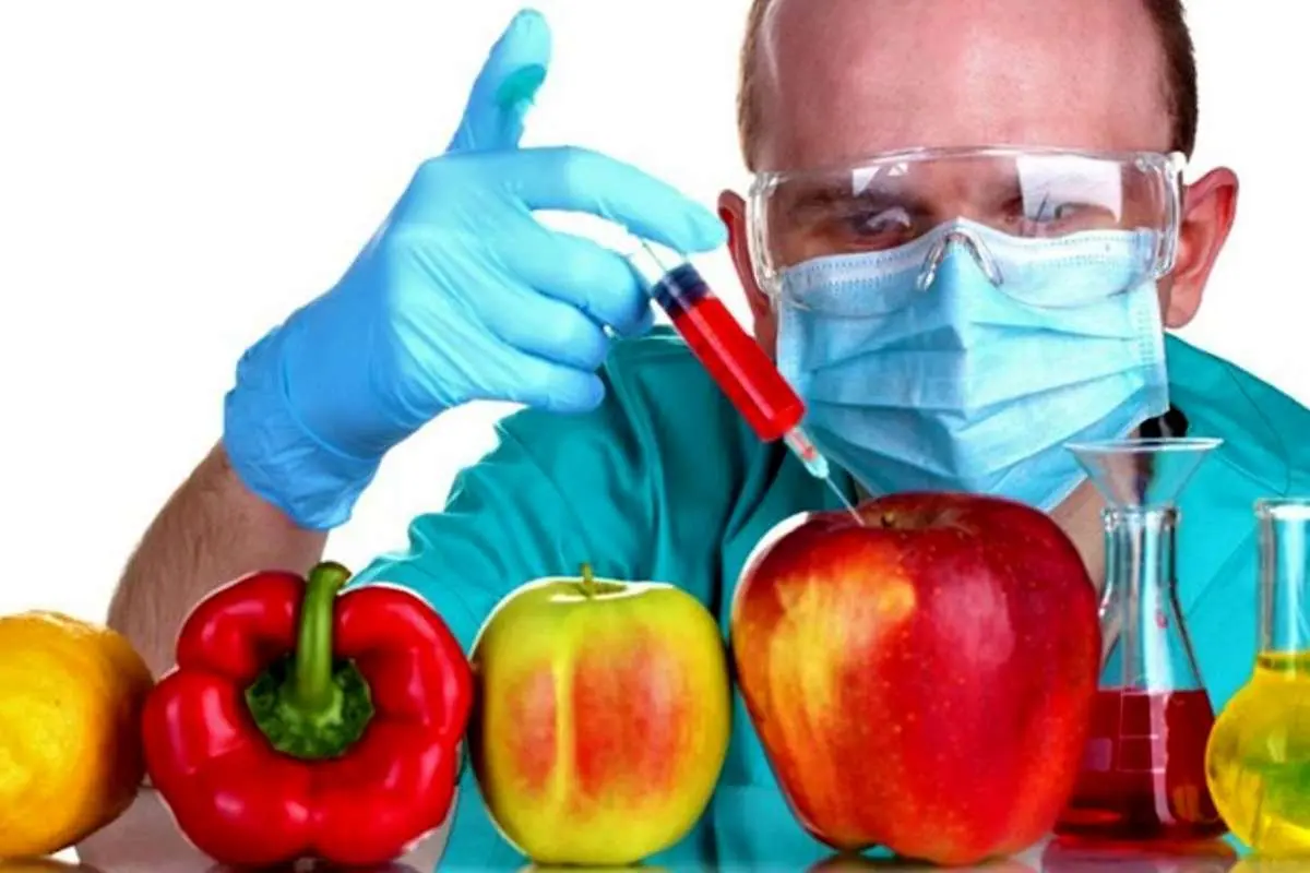 ۴ ماده غذایی تراریخته در ایران؛ تضمین ایمنی این محصولات چگونه است؟!