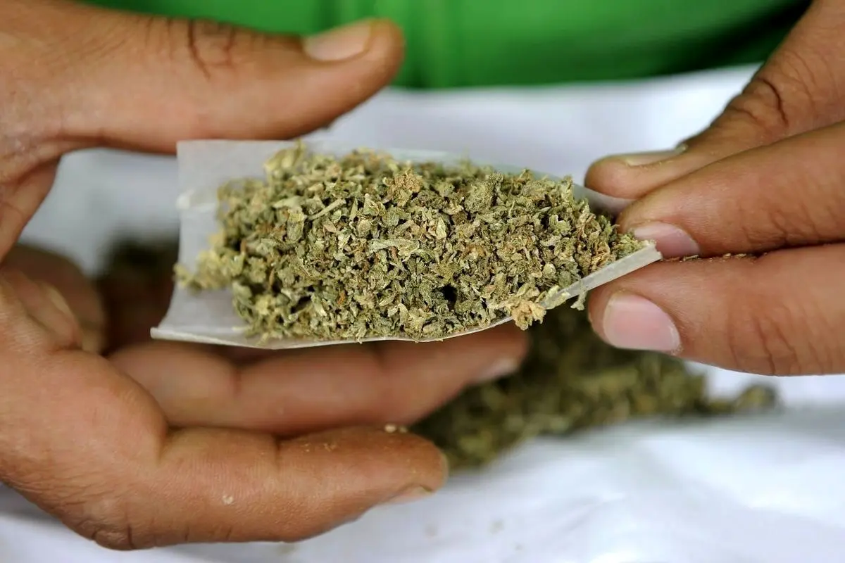 نخستین شواهد باستانی استفاده از حشیش در این کشور