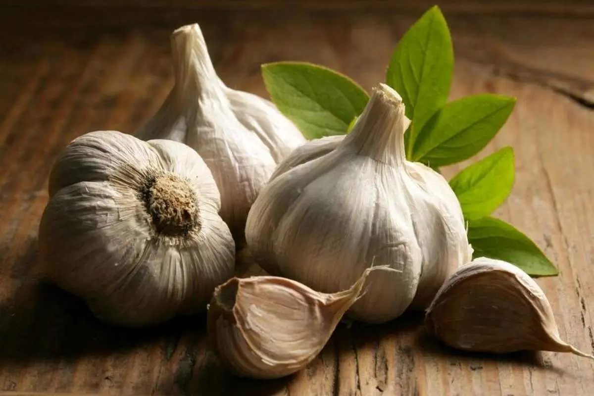بهترین روش برای خوردن سیر خام