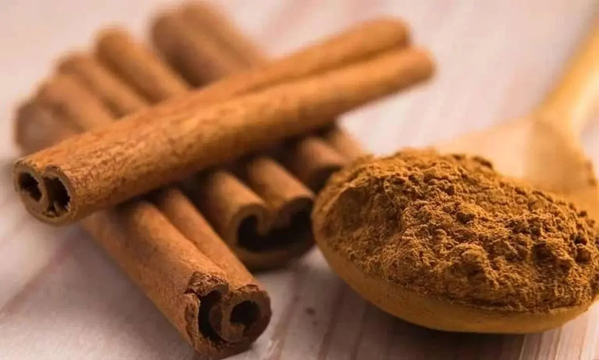 چطور دارچین اصل را از تقلبی تشخیص دهیم؟