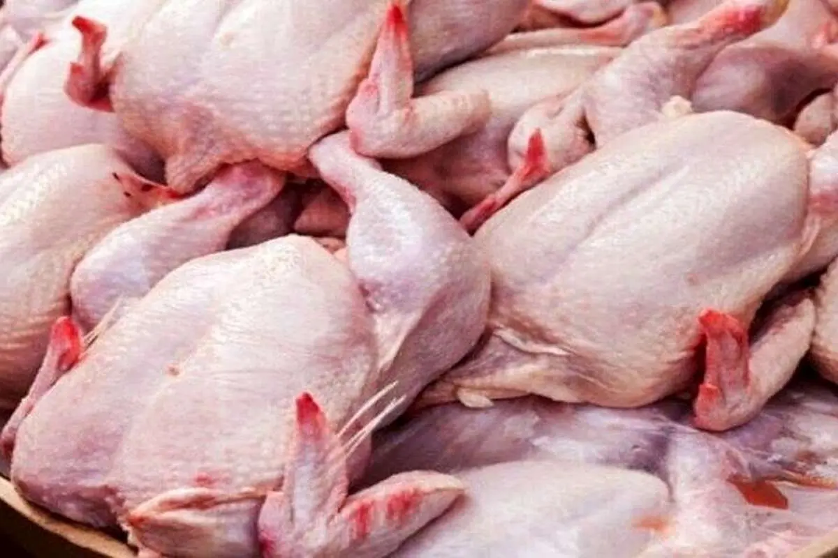 قیمت جدید مرغ اعلام شد