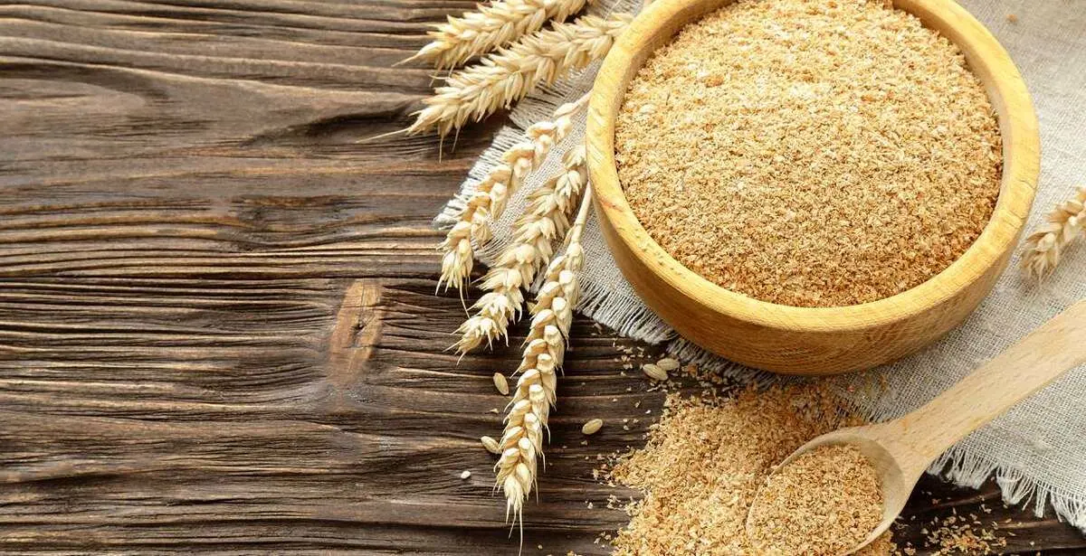 طرز تهیه پودر جوانه گندم خانگی + روش استفاده