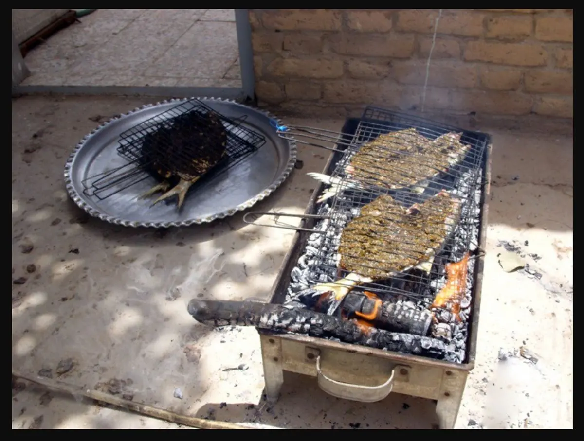 طرز تهیه ماهی صبور (حشو) به روش جنوبی؛ روی منقل و در فر