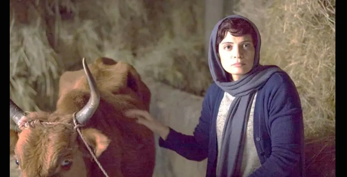 ‌(ویدیو) عاشقانه‌های «بهار کاتوزی» در طویله؟! تجربه حضور در «جهان با من برقص»!