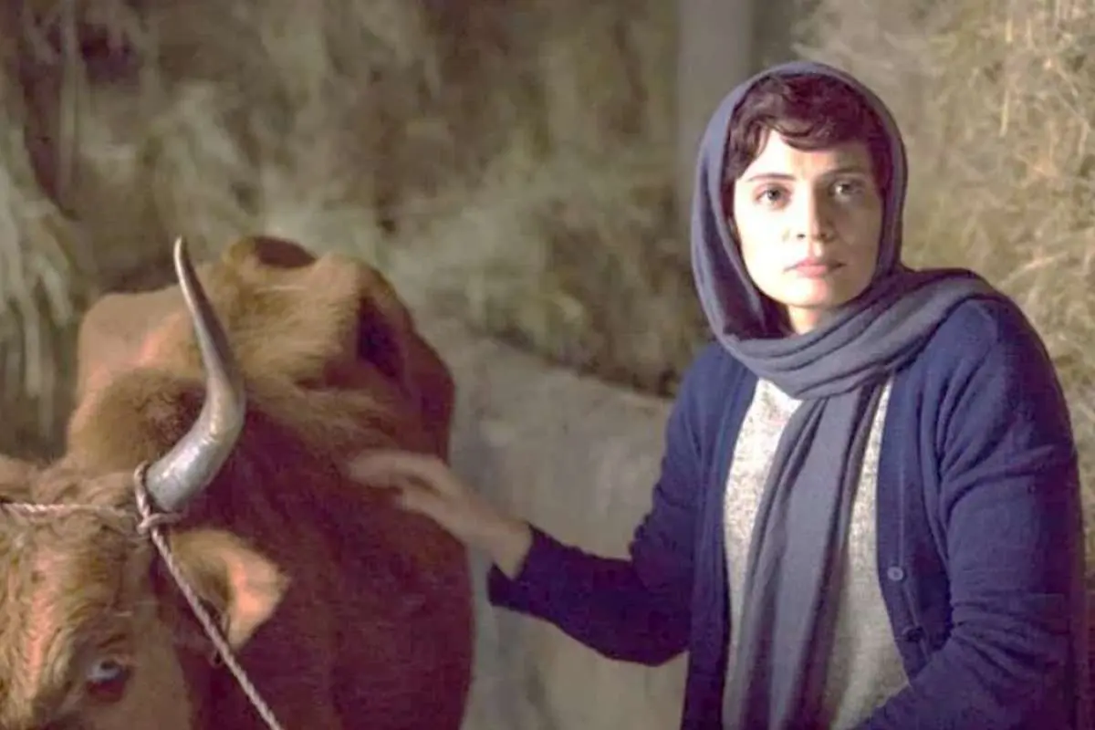 ‌(ویدیو) عاشقانه‌های «بهار کاتوزی» در طویله؟! تجربه حضور در «جهان با من برقص»!