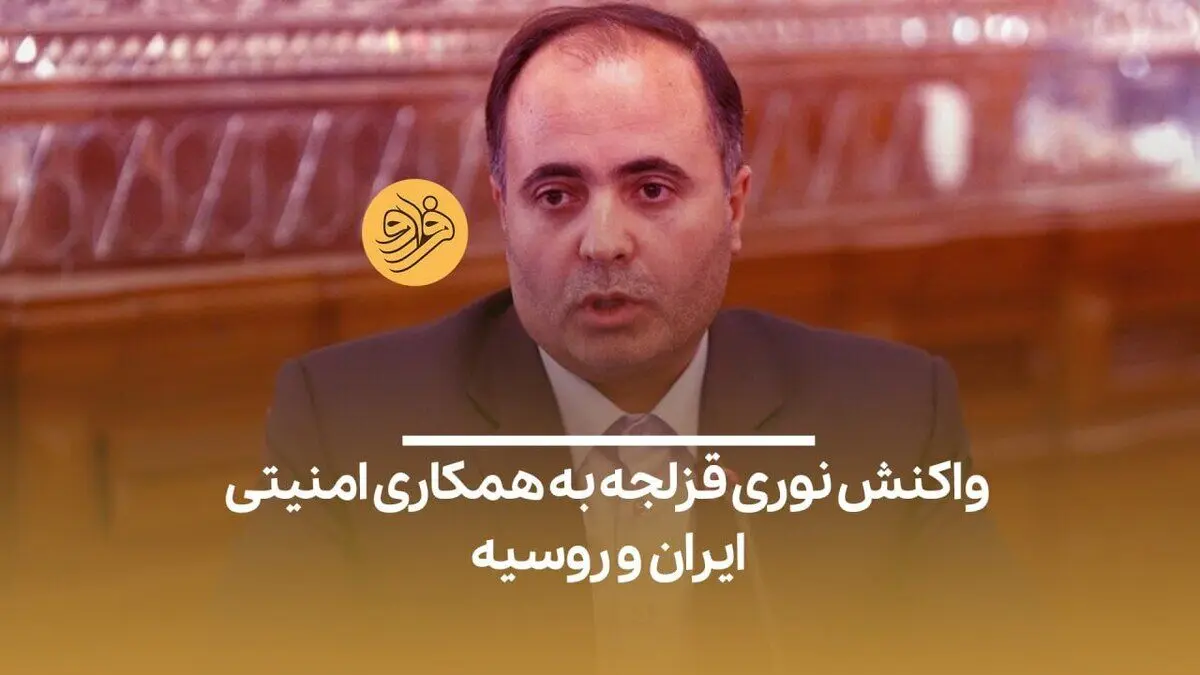 نوری قزلجه: چرا باید اختیاری بدهیم که معلوم نیست چه حد و مرزی دارد؟