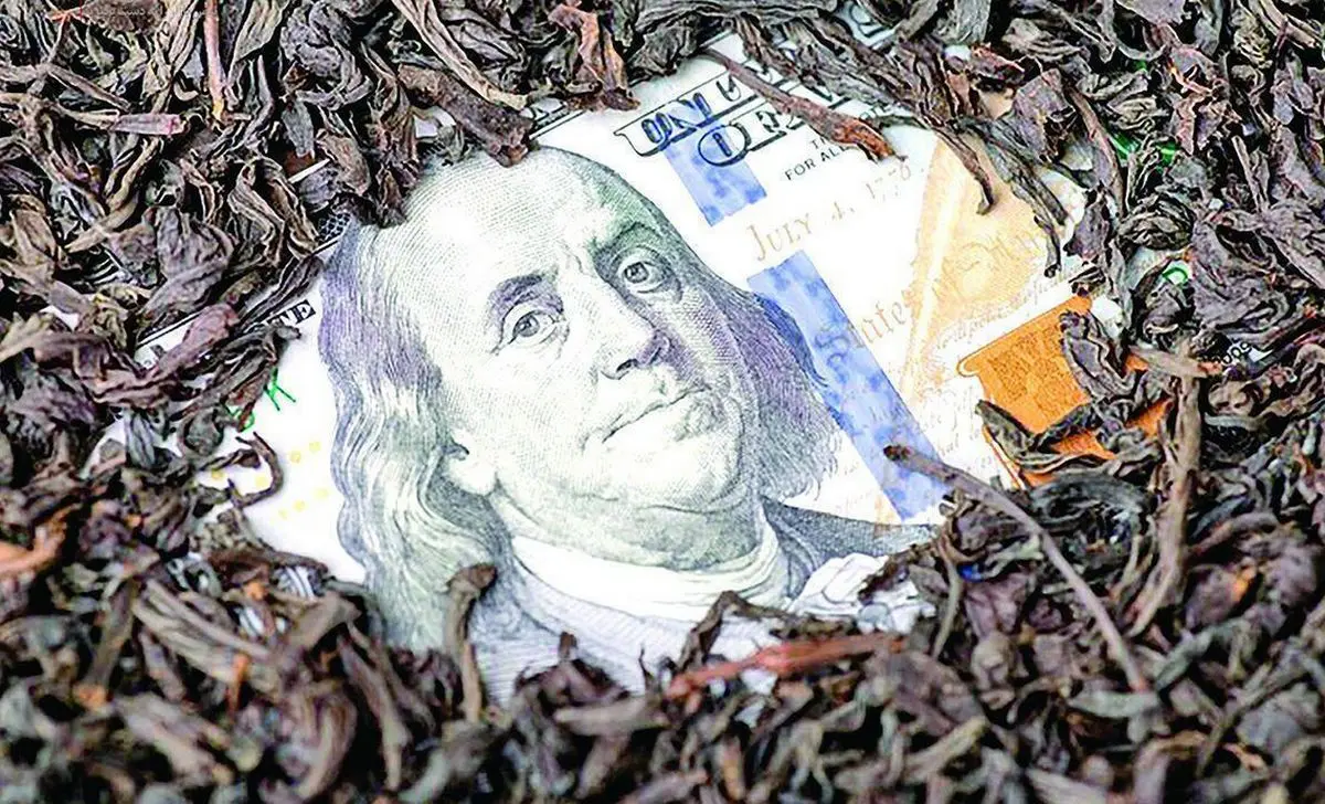ارتباط FATF و فساد چای دبش