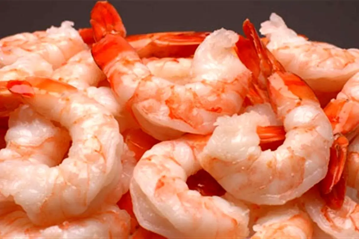 میگوی پرورشی بوشهر از چین برگشت خورد؟