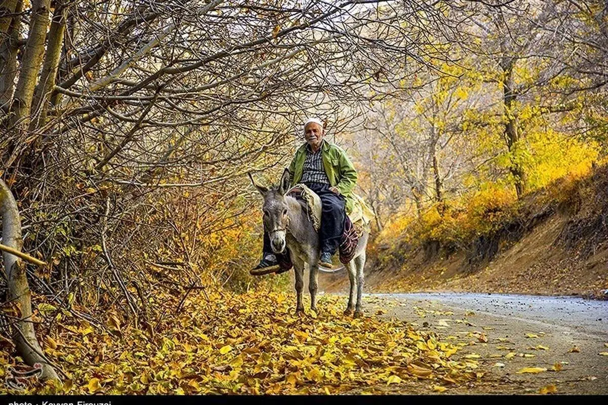 (تصاویر) پاییز رنگارنگ کردستان