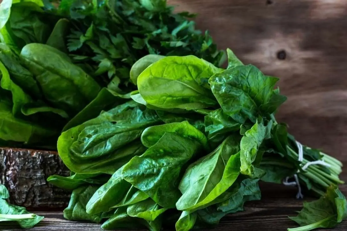 ۴ روش صحیح برای فریز کردن اسفناج