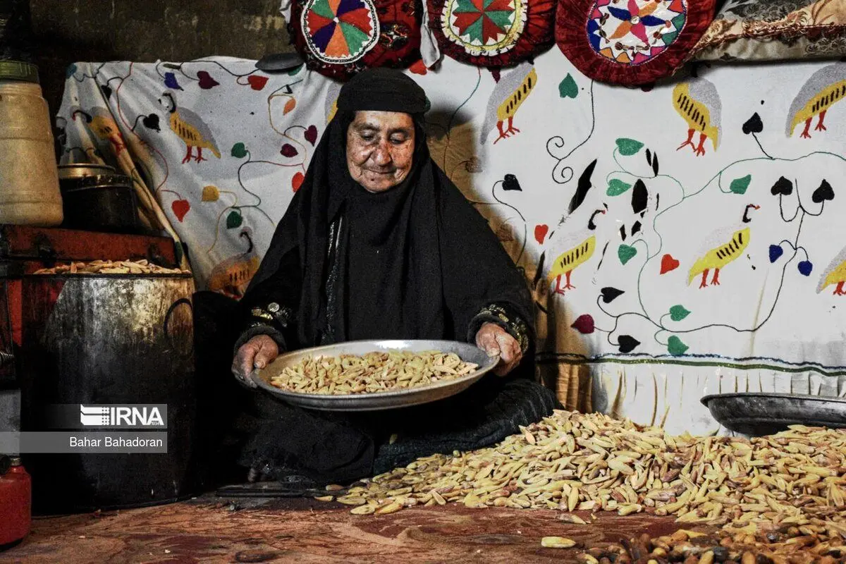 (تصاویر) نان بلوط