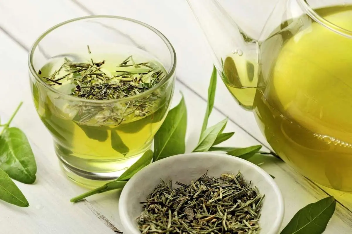 خواص چای سبز چیست؟