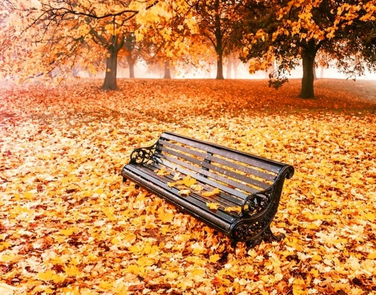 سایه سنگین خزان خشک بر سر ایران