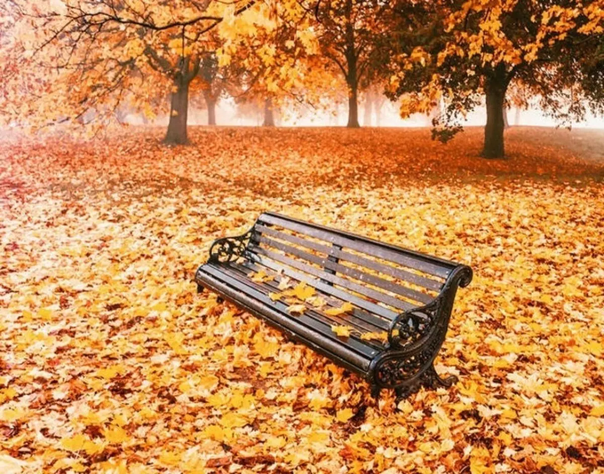 سایه سنگین خزان خشک بر سر ایران