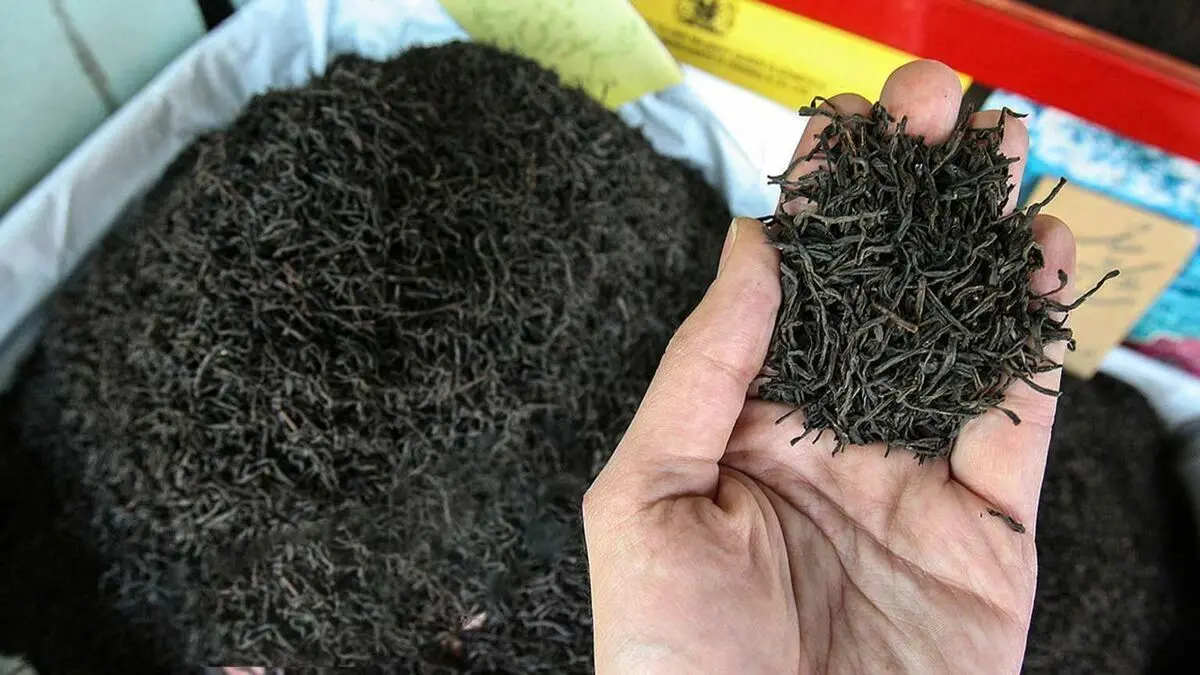 وزارت کشاورزی: معادل ارز تخصیصی به واردات چای، ریال گرفته شده است