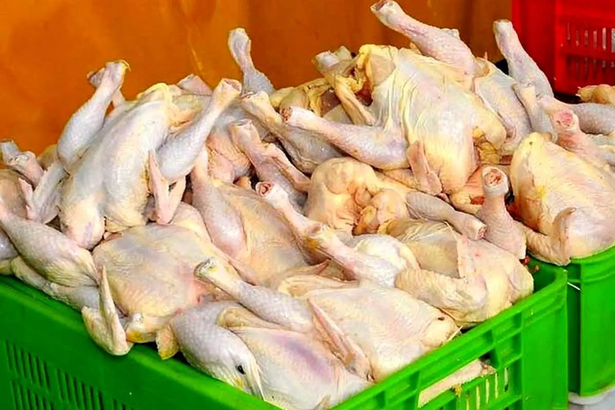 قیمت جدید مرغ در بازار/ یک کیلو سینه مرغ چند؟