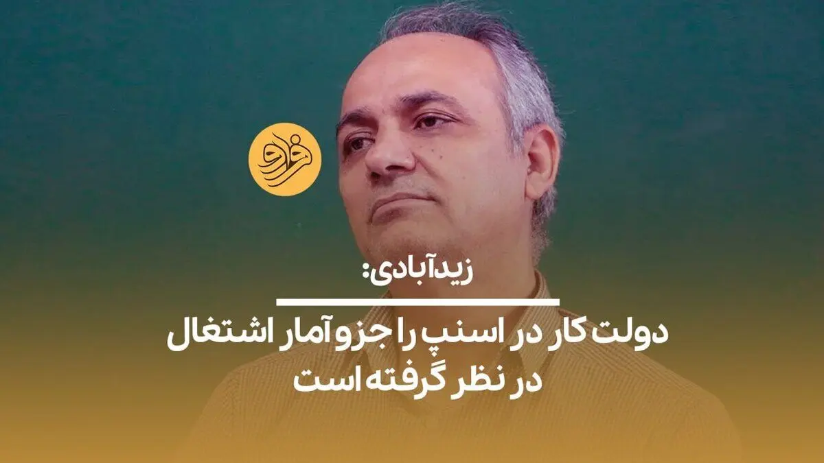 (ویدیو) زیدآبادی: دولت کار در اسنپ را جزو آمار اشتغال در نظر گرفته است