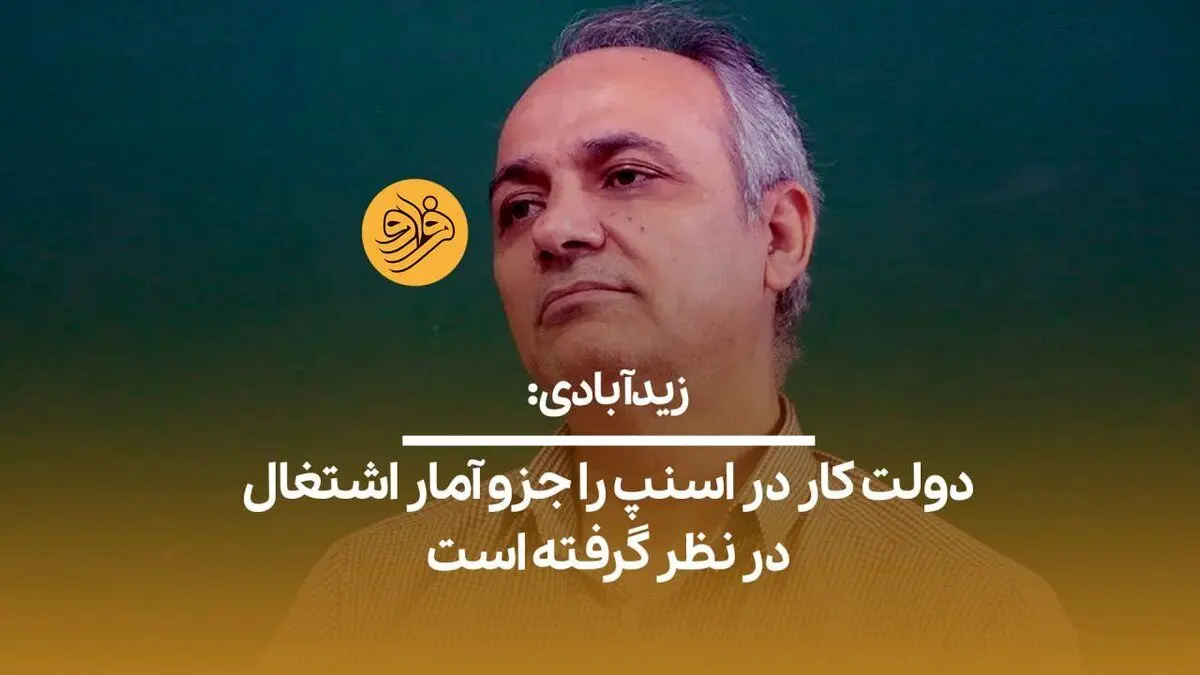 (ویدیو) زیدآبادی: دولت کار در اسنپ را جزو آمار اشتغال در نظر گرفته است